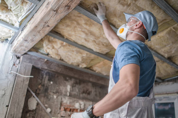 Best Energy Efficiency Insulation in Ladysmith, WI