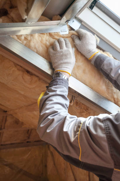 Professional Insulation Contractor in Ladysmith, WI
