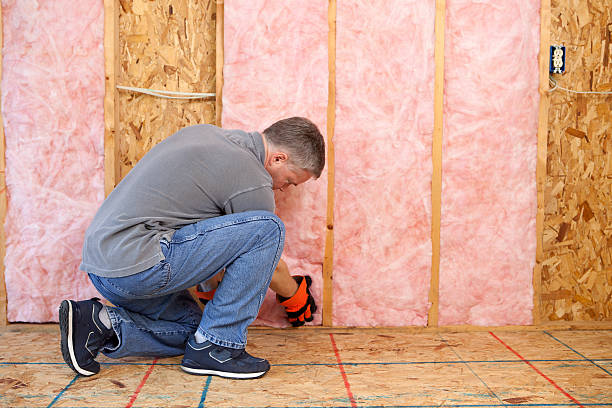 Best Spray Foam Insulation in Ladysmith, WI