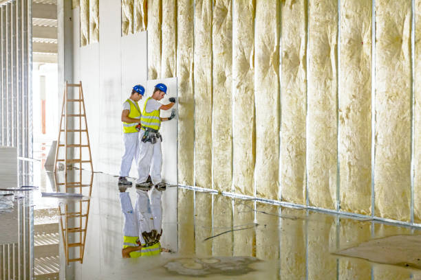 Best Spray Foam Insulation in Ladysmith, WI